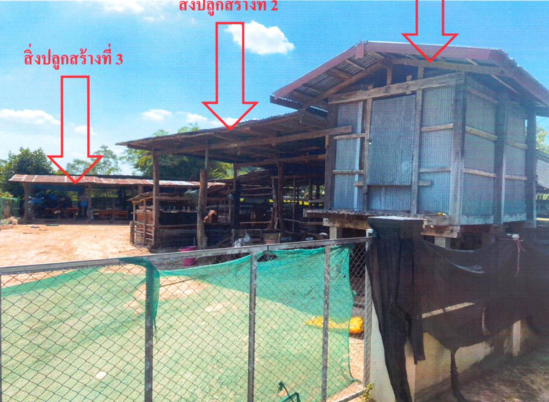 บ้านเดี่ยว มหาสารคาม ชื่นชม กุดปลาดุก 394090