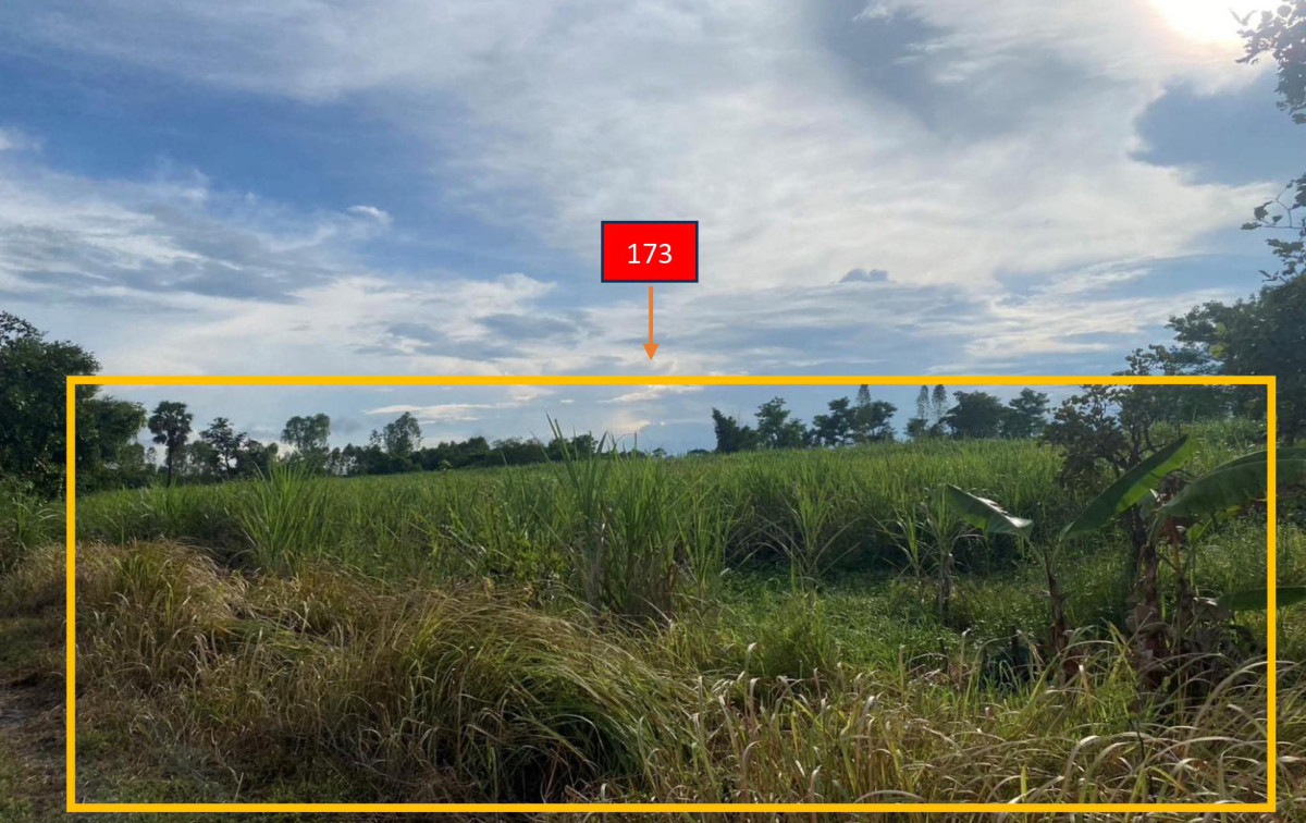ที่ดินเปล่า มหาสารคาม ชื่นชม กุดปลาดุก 171050