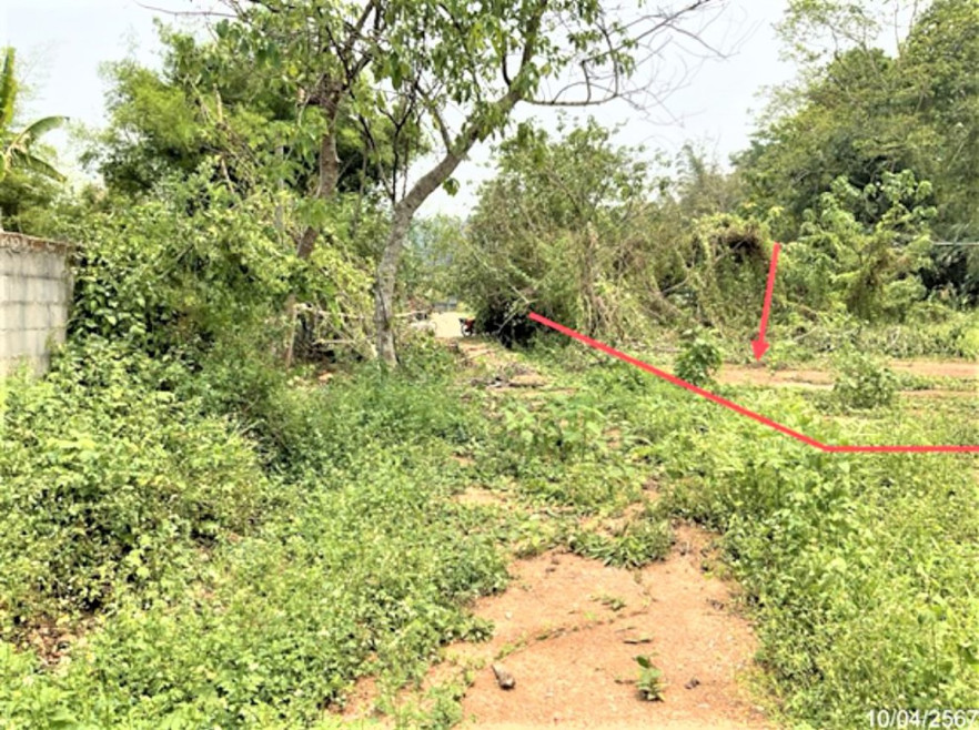 Residential land/lot Chiang Rai Mae Chan Mae Chan 1062000