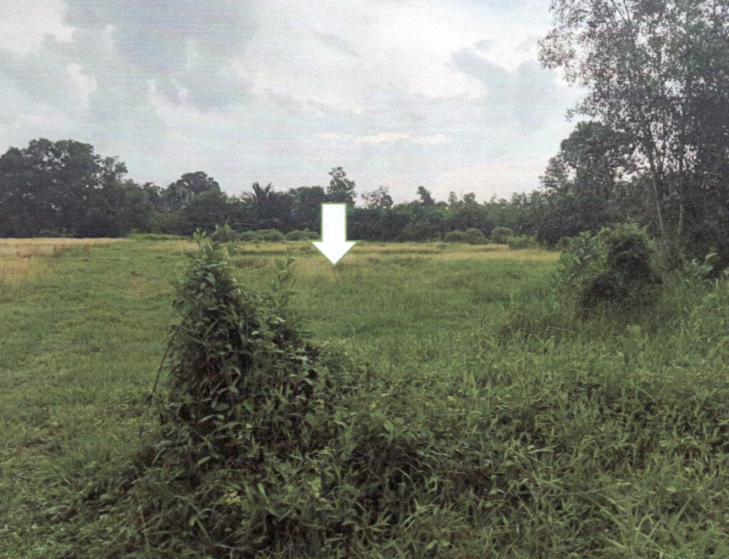 Residential land/lot Phatthalung Pa Bon Wang Mai 319464