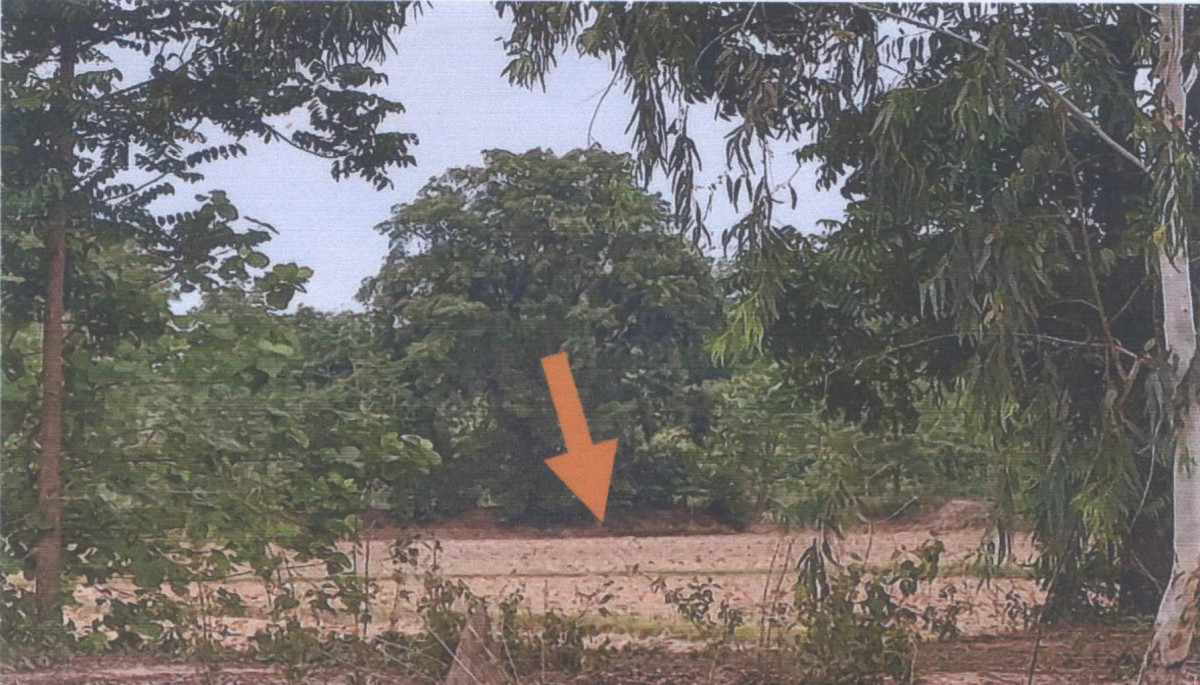 Residential land/lot Phitsanulok Bang Krathum Noen Kum 297180