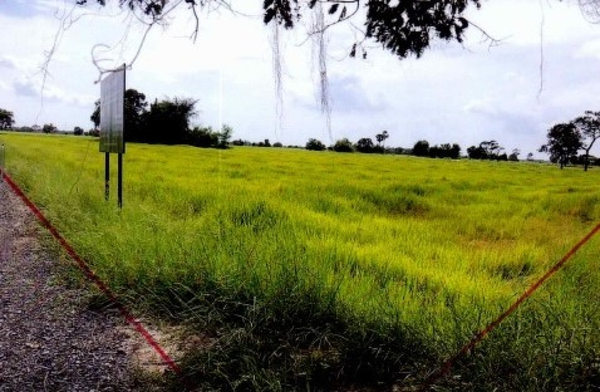 ที่ดินเปล่า บุรีรัมย์ พุทไธสง บ้านจาน 1020713
