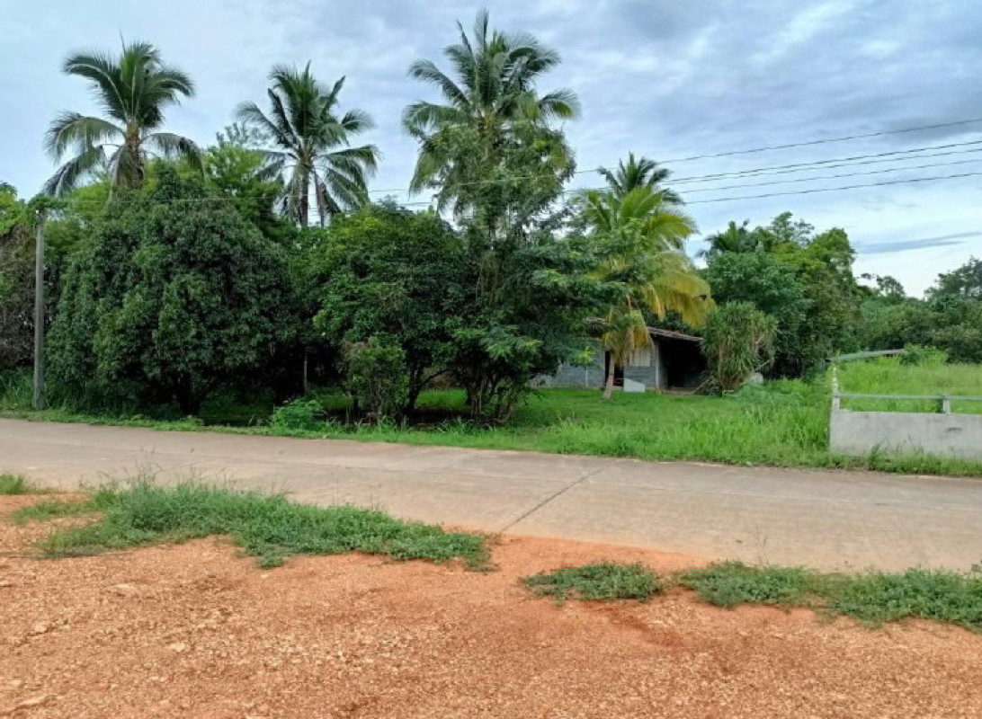 บ้านเดี่ยว อุทัยธานี บ้านไร่ บ้านบึง 1554700