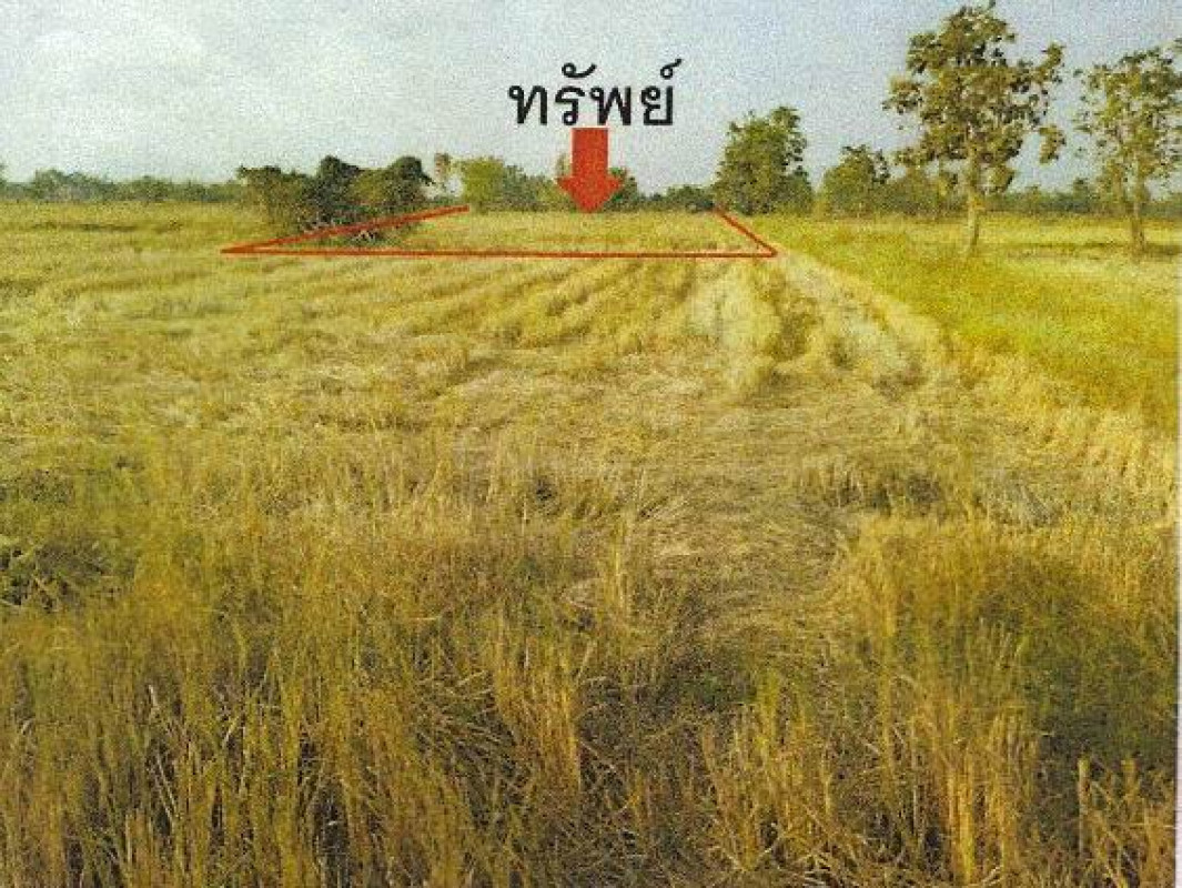ที่ดินเปล่า สุโขทัย เมืองสุโขทัย บ้านกล้วย 180000