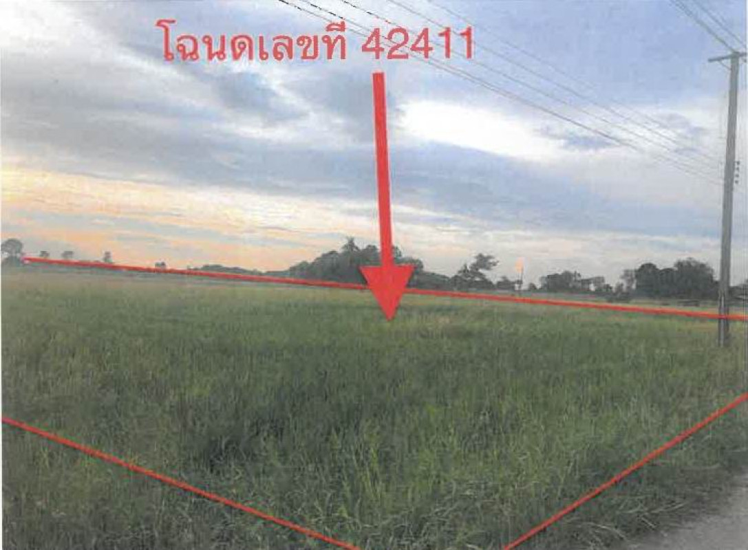 ที่ดินเปล่า สุโขทัย ศรีสำโรง เกาะตาเลี้ยง 540800