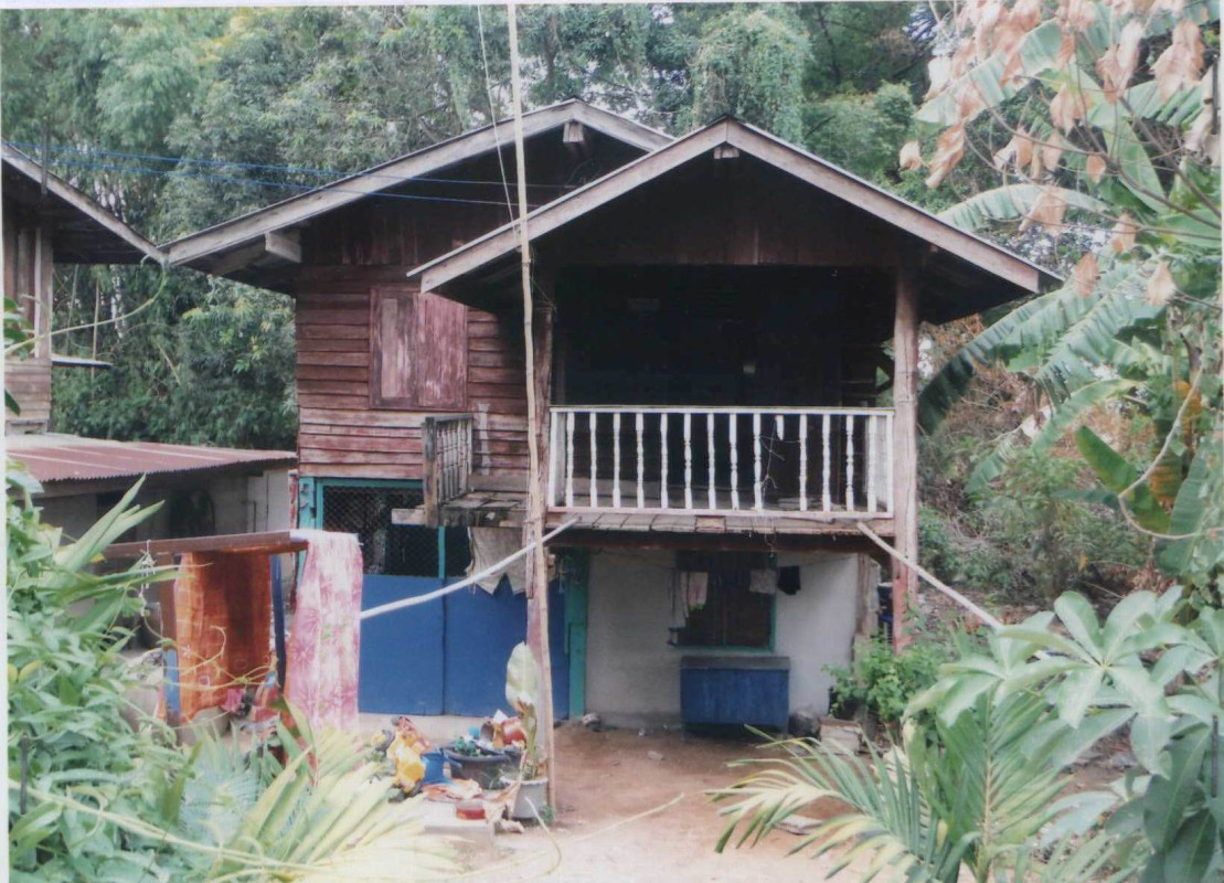 บ้านเดี่ยว นครสวรรค์ บรรพตพิสัย บ้านแดน 450458