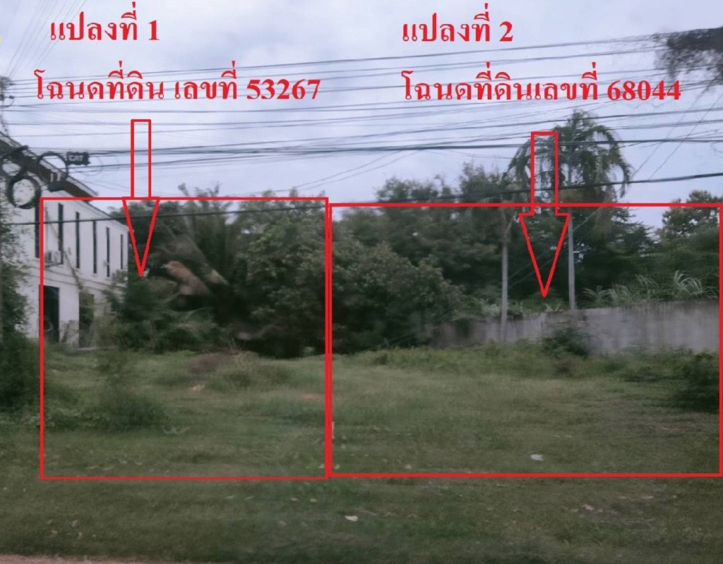 ที่ดินเปล่า มหาสารคาม วาปีปทุม หนองแสง 269000
