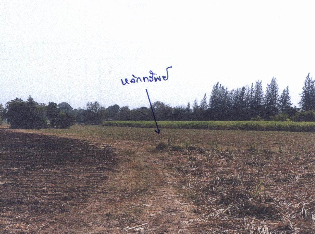 ที่ดินเปล่า ราชบุรี โพธาราม ธรรมเสน 757950