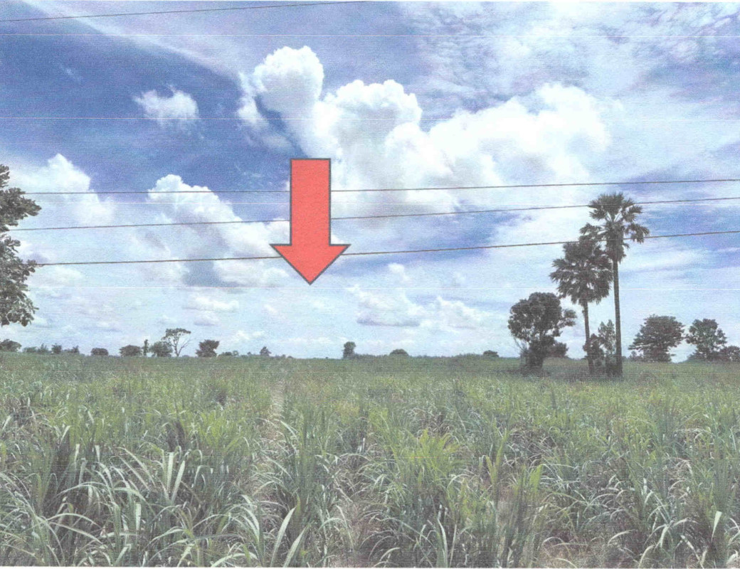 ที่ดินเปล่า ชัยภูมิ บำเหน็จณรงค์ โคกเพชรพัฒนา 1204000