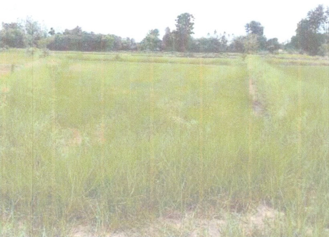 Residential land/lot Chaiyaphum Khon Sawan Khon Sawan 172490
