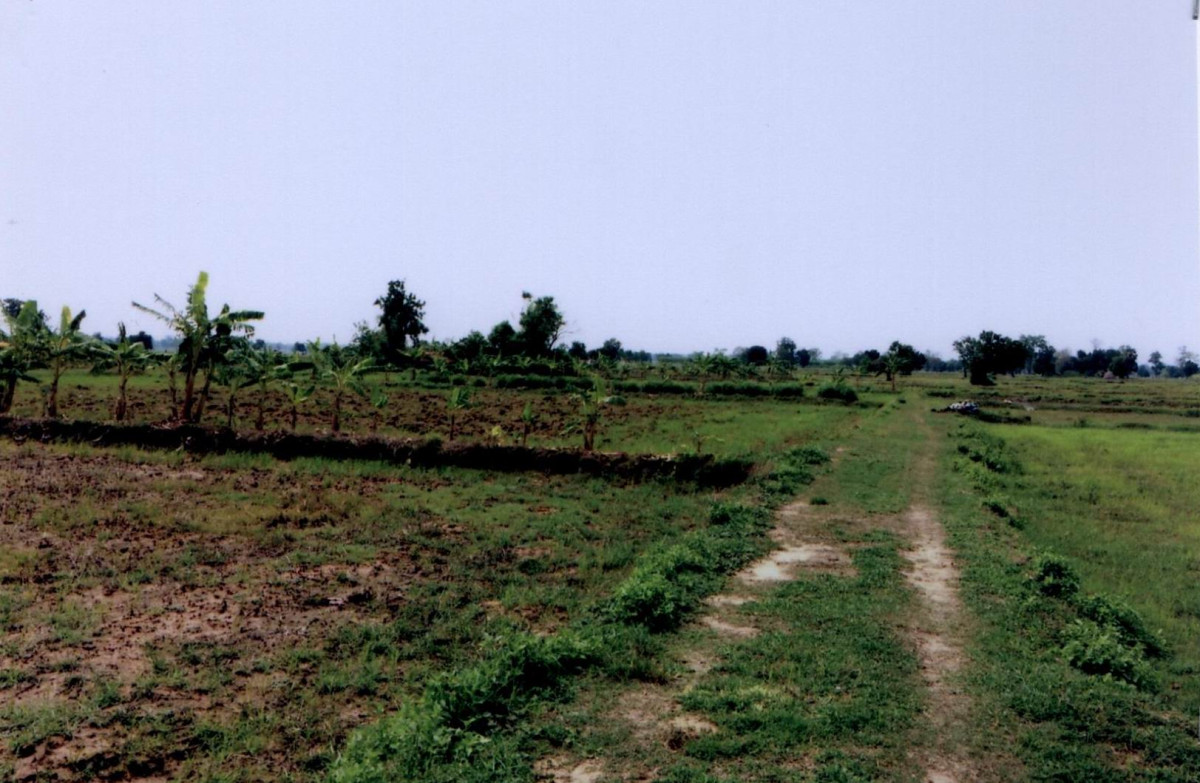 Residential land/lot Buri Ram Mueang Buri Ram Phrakhru 126500