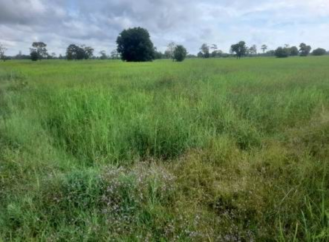 Residential land/lot Buri Ram Krasang Kanthararom 147000