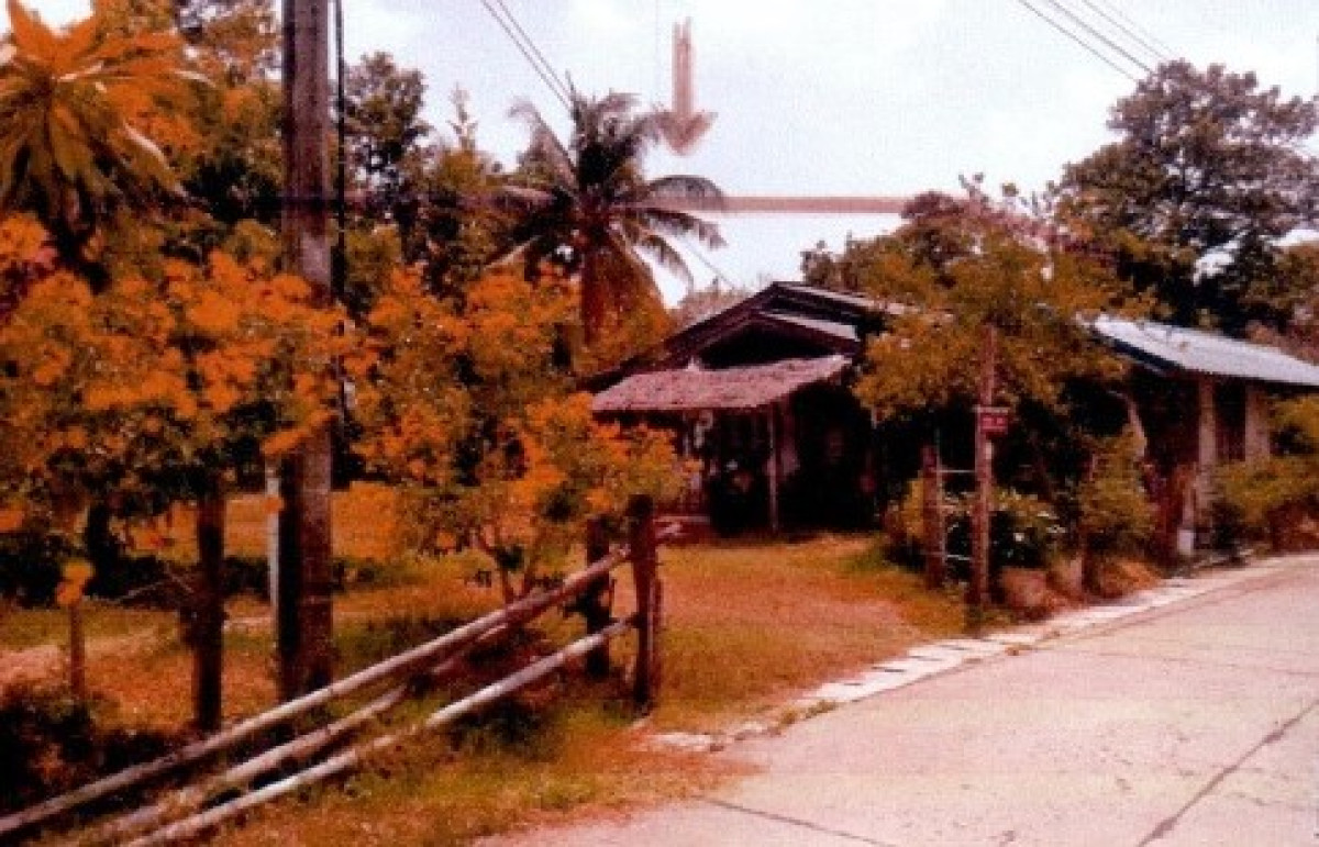 บ้านเดี่ยว บุรีรัมย์ เมืองบุรีรัมย์ ลุมปุ๊ก 342970