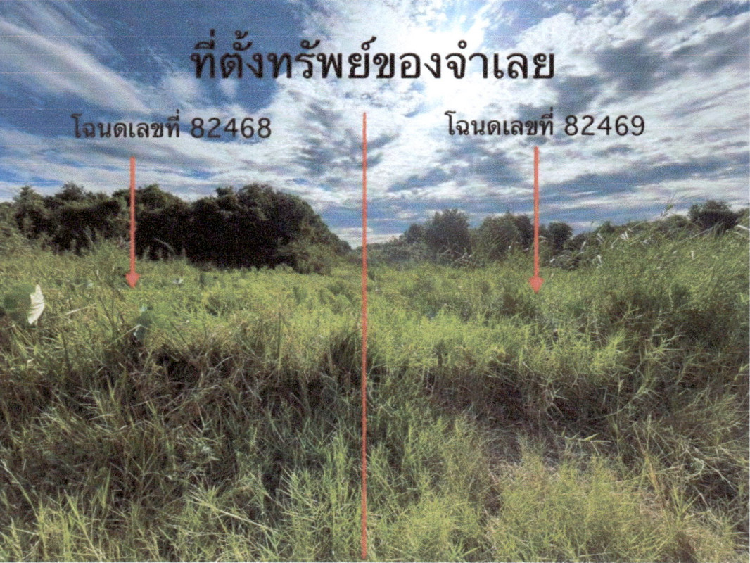 ที่ดินเปล่า พัทลุง เมืองพัทลุง ลำปำ 138515