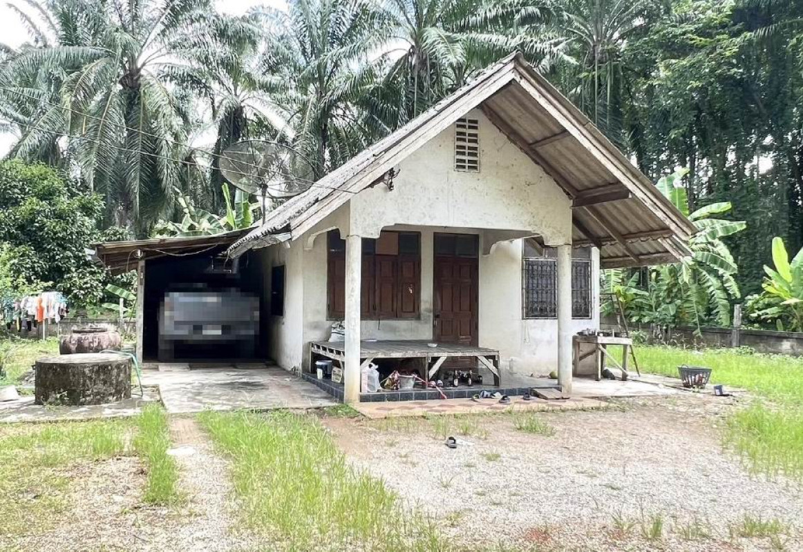 บ้านเดี่ยว สุราษฎร์ธานี ชัยบุรี คลองน้อย 854721