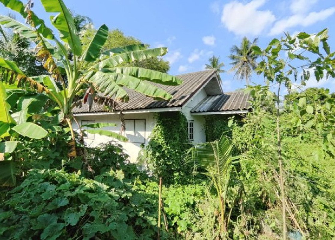 บ้านเดี่ยว กำแพงเพชร ขาณุวรลักษบุรี เกาะตาล 338896