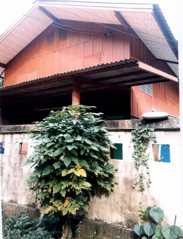 Single house Nan Mueang Nan Pha Sing 1291200