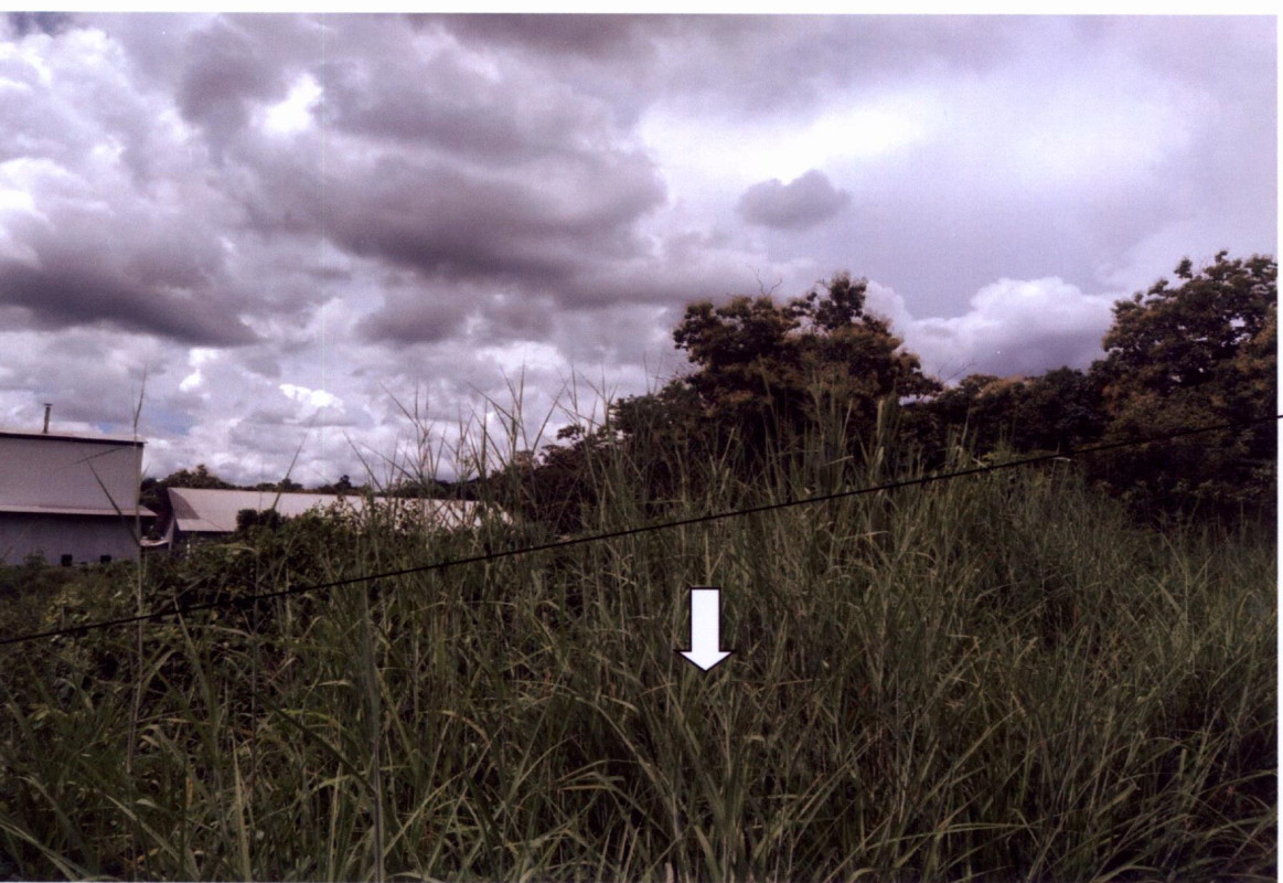 ที่ดินเปล่า แม่ฮ่องสอน ขุนยวม เมืองปอน 1045845