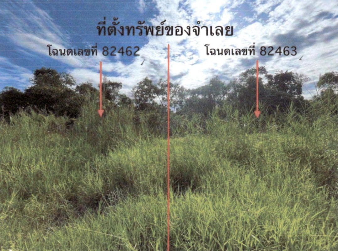 ที่ดินเปล่า พัทลุง เมืองพัทลุง ลำปำ 88621