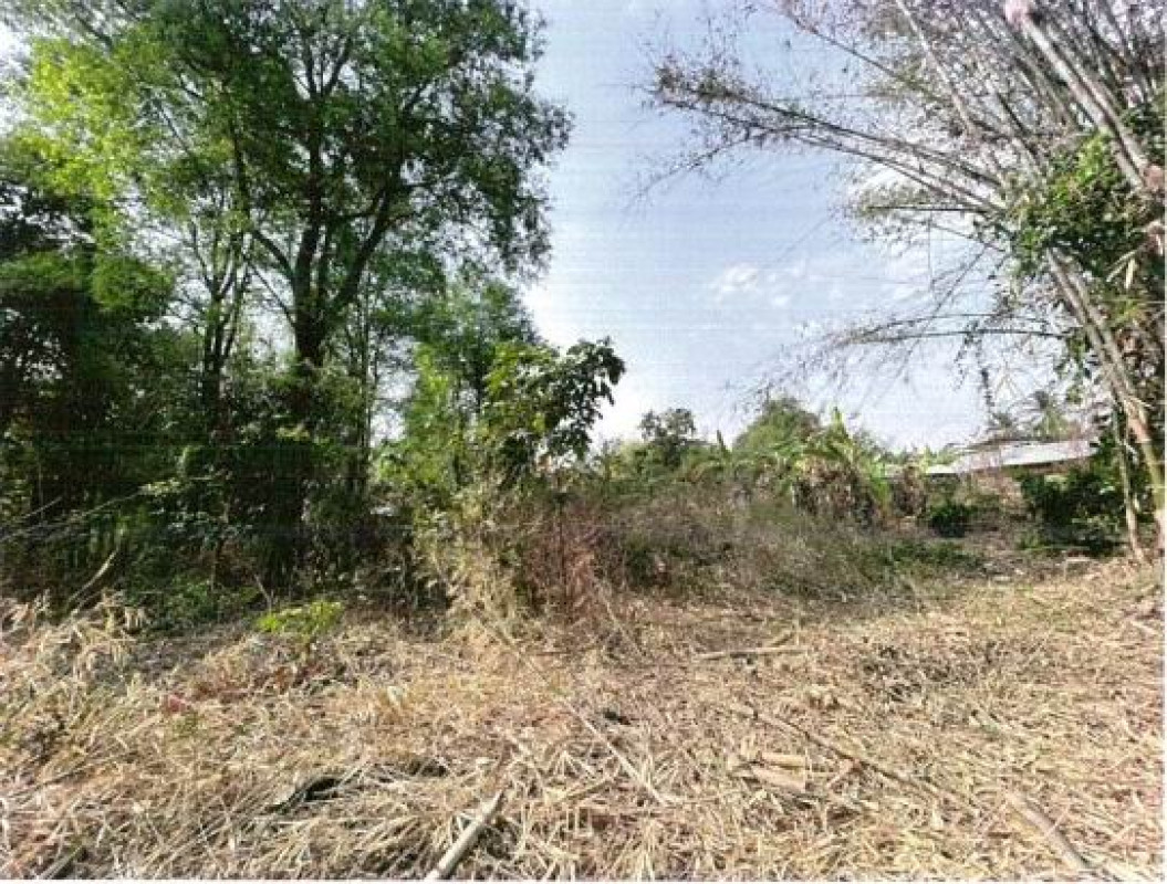 Residential land/lot Maha Sarakham Mueang Maha Sarakham Bua Kho 253600