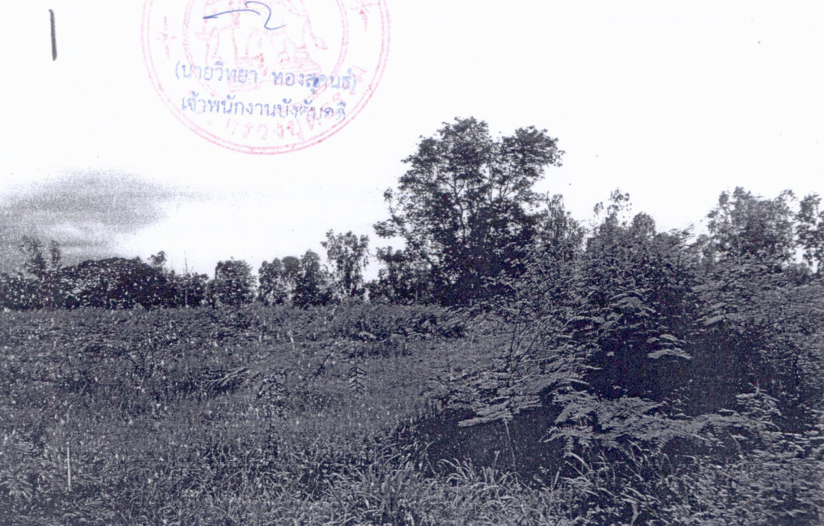 ที่ดินเปล่า พระนครศรีอยุธยา เสนา บางนมโค 595000
