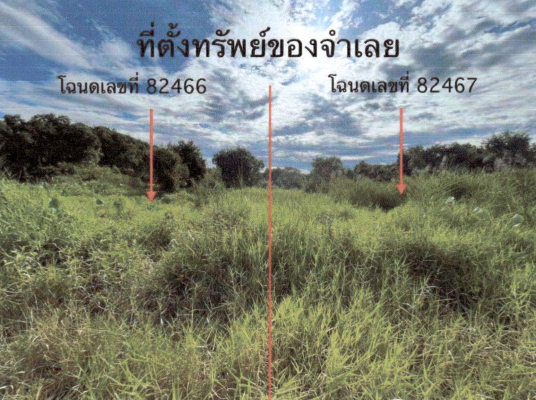 ที่ดินเปล่า พัทลุง เมืองพัทลุง ลำปำ 119938