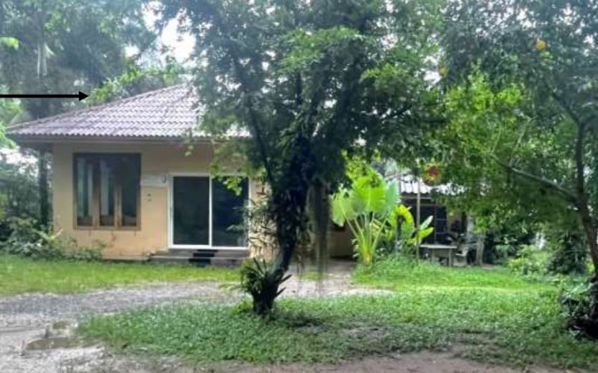 บ้านเดี่ยว สุราษฎร์ธานี บ้านนาสาร ทุ่งเตาใหม่ 775050