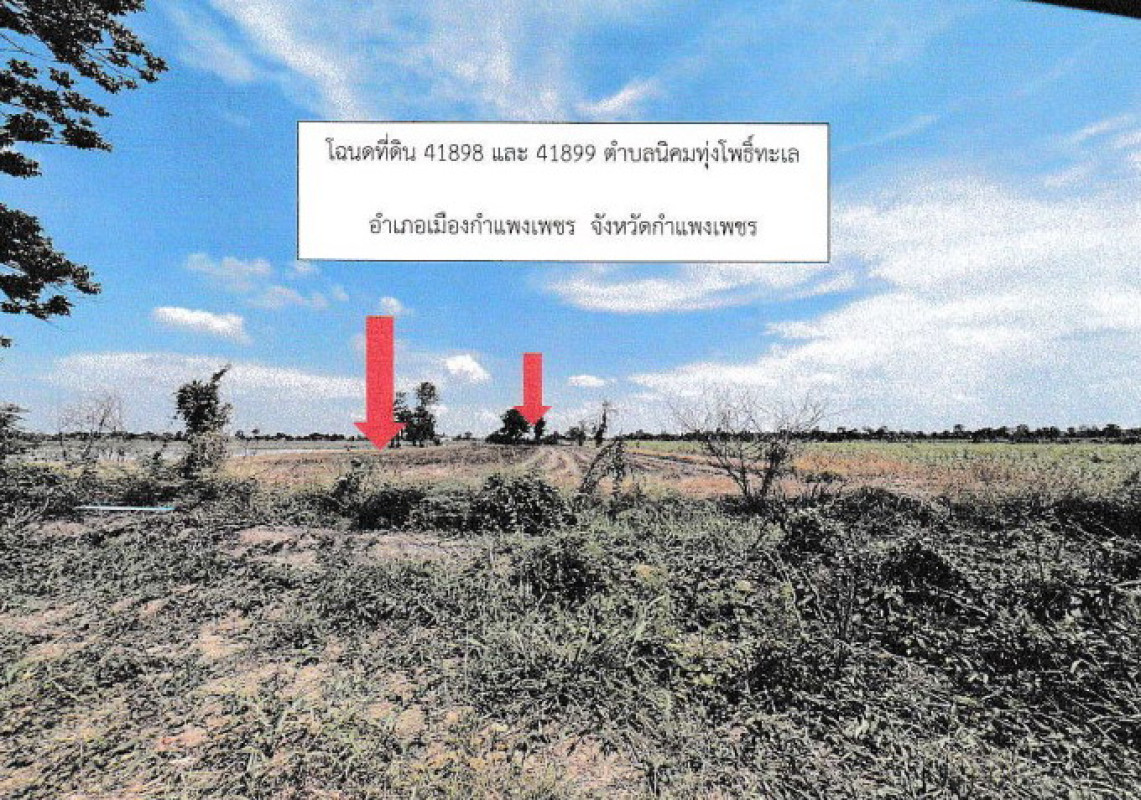 ที่ดินเปล่า กำแพงเพชร เมืองกำแพงเพชร นิคมทุ่งโพธิ์ทะเล 870768
