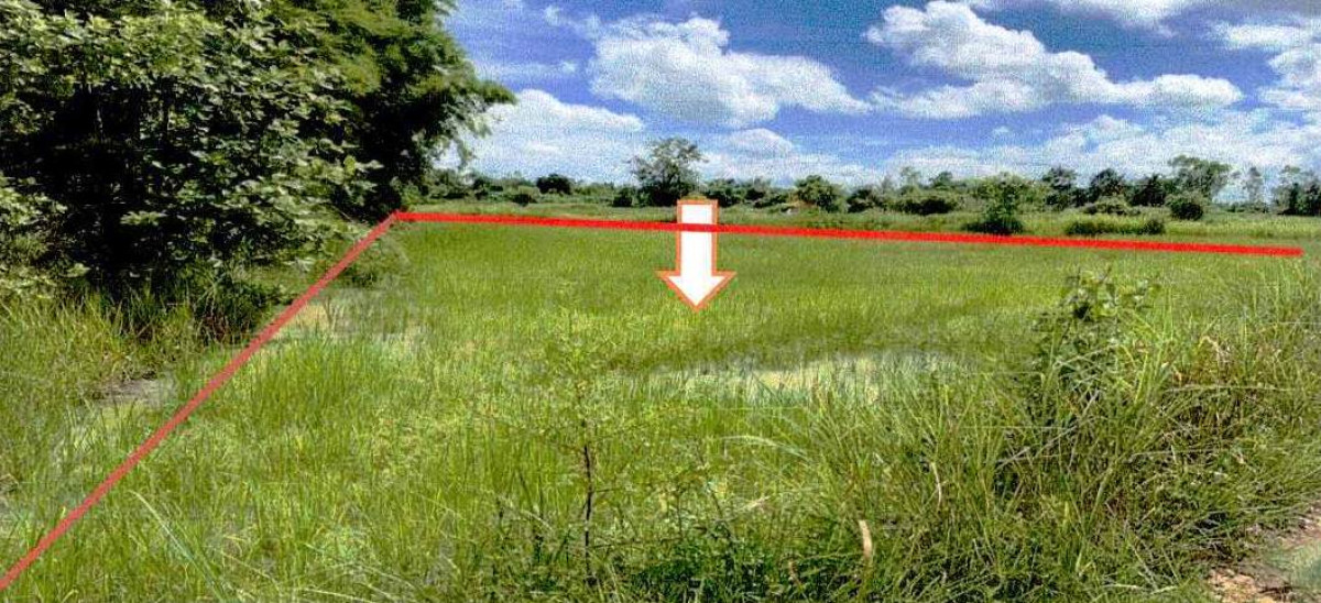 ที่ดินเปล่า หนองคาย สระใคร สระใคร 278100