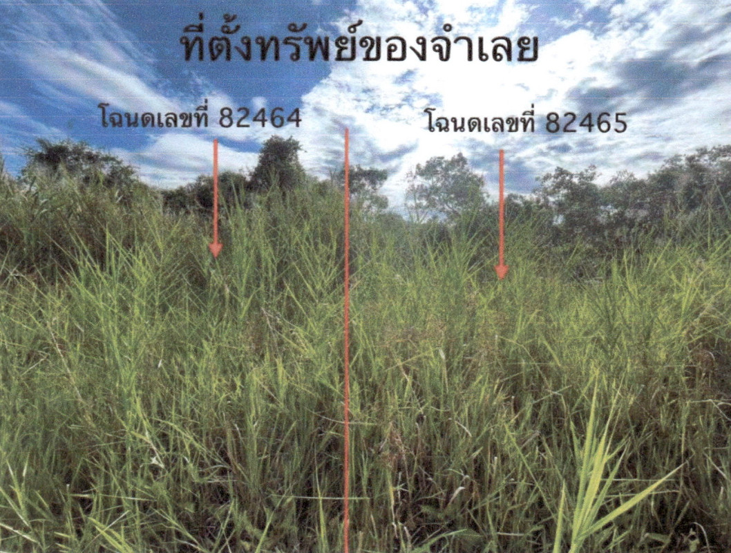 ที่ดินเปล่า พัทลุง เมืองพัทลุง ลำปำ 107705
