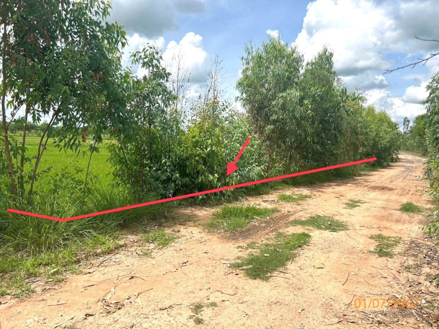 Residential land/lot Yasothon Maha Chana Chai Khu Mueang 440000