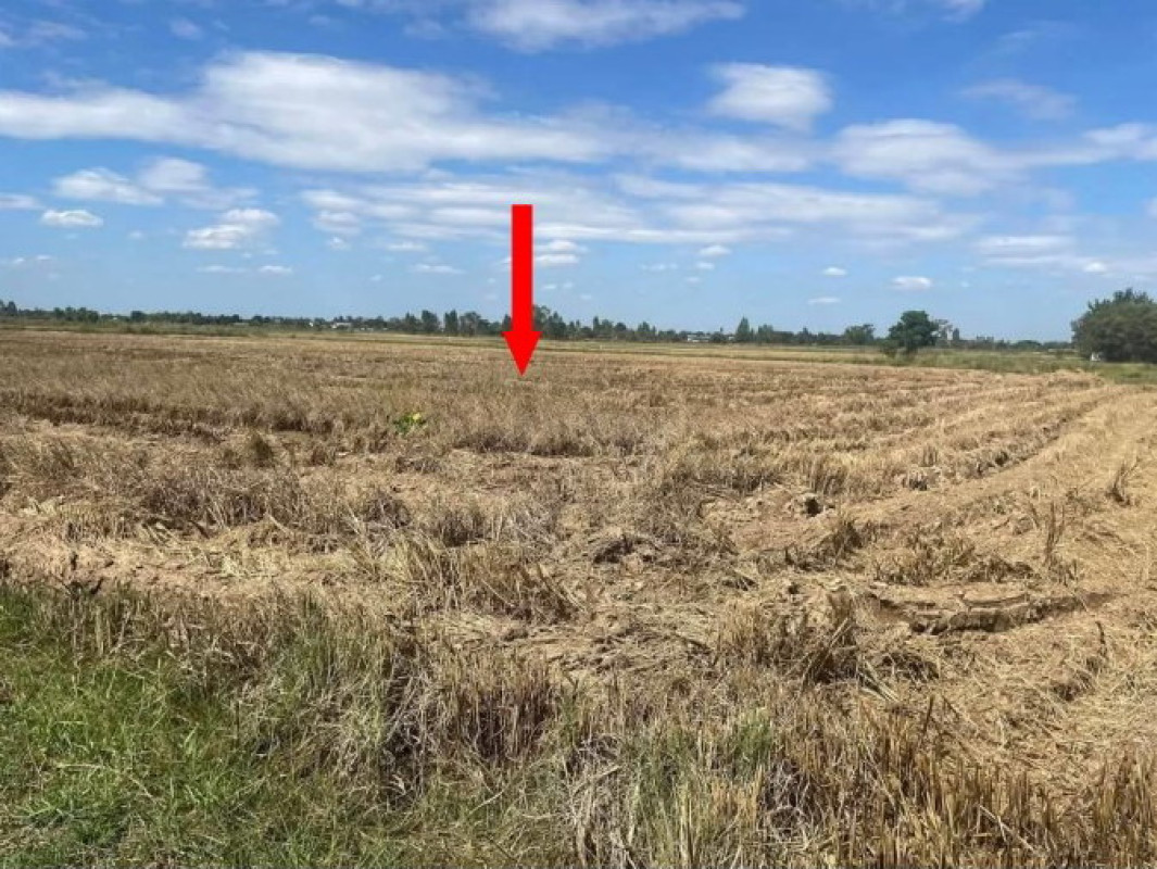 Residential land/lot Khon Kaen Nam Phong Muang Wan 1650600