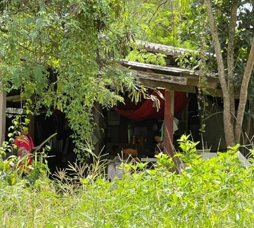 บ้านเดี่ยว สุราษฎร์ธานี เมืองสุราษฎร์ธานี วัดประดู่ 1971520