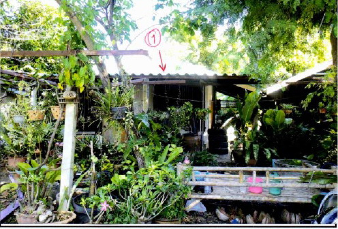 บ้านเดี่ยว บุรีรัมย์ สตึก เมืองแก 387750