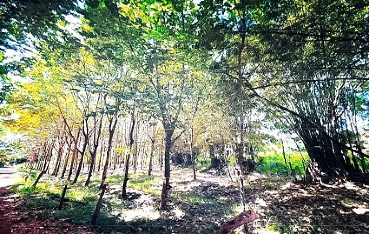 Residential land/lot Sakon Nakhon Akat Amnuai Tha Kon 277875