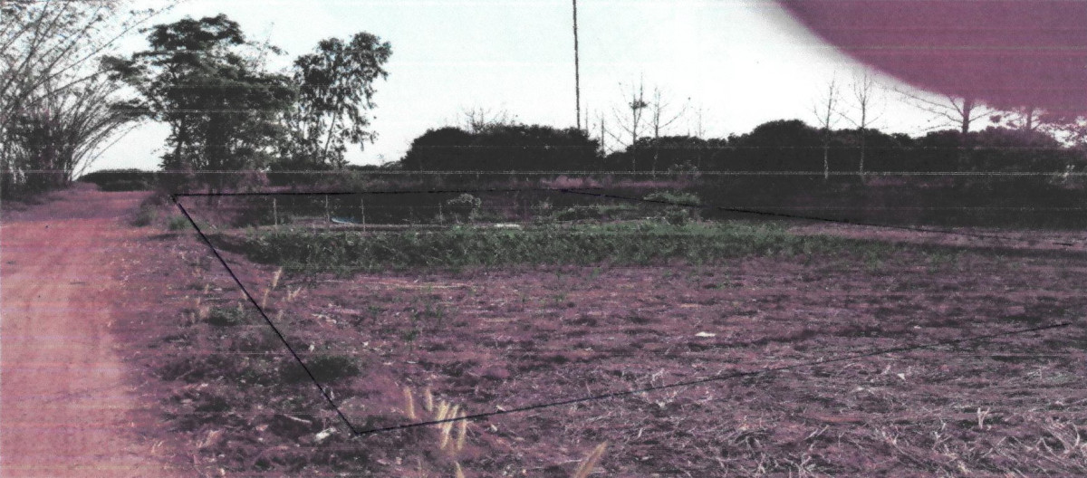 Residential land/lot Chiang Rai Thoeng Wiang 61500