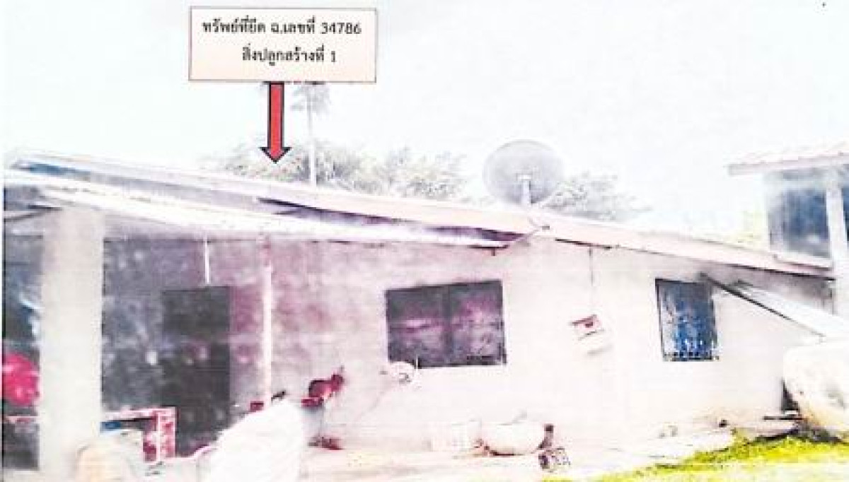 บ้านเดี่ยว บุรีรัมย์ ลำปลายมาศ หนองบัวโคก 792720