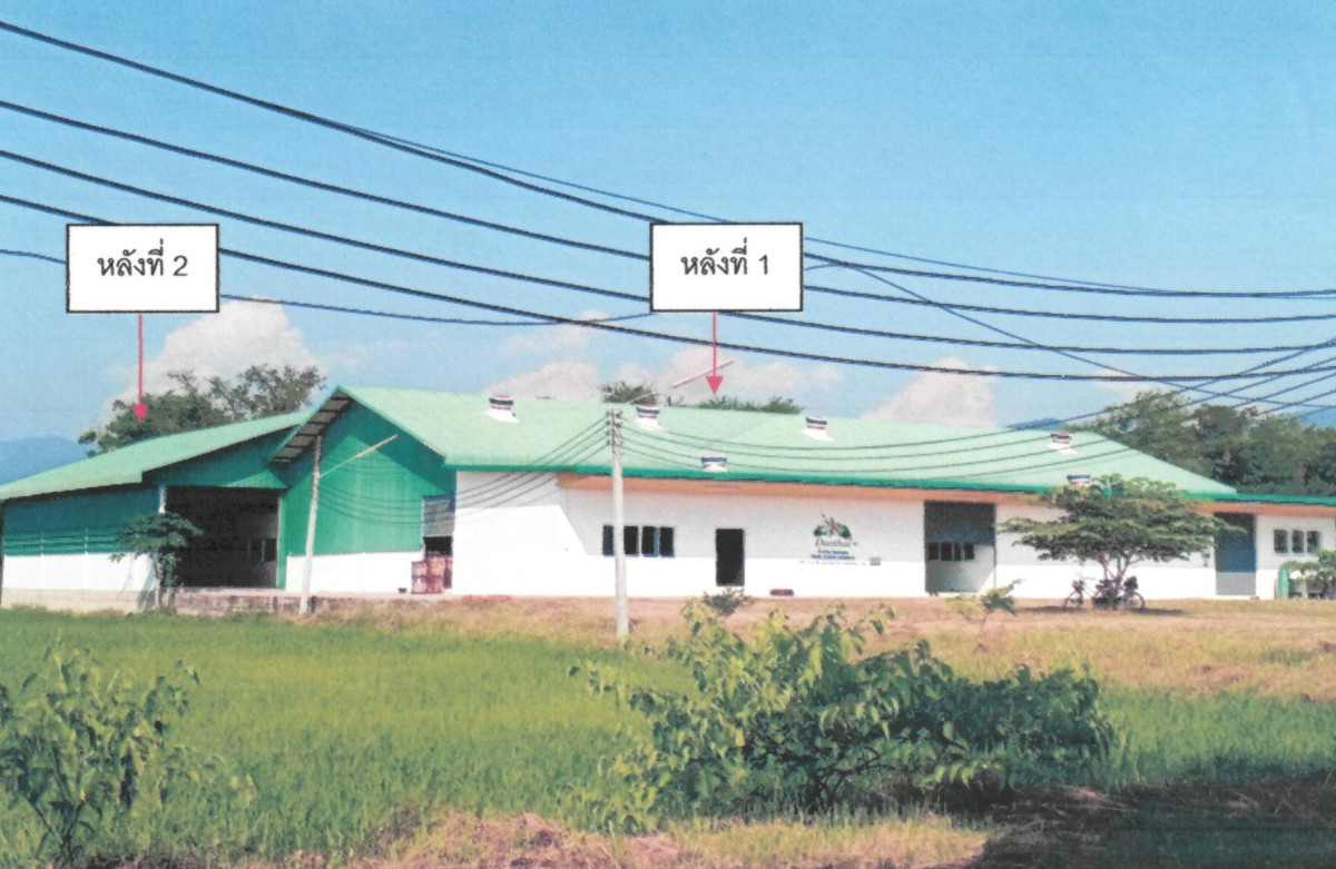 บ้านเดี่ยว เชียงราย ขุนตาล ป่าตาล 4855760
