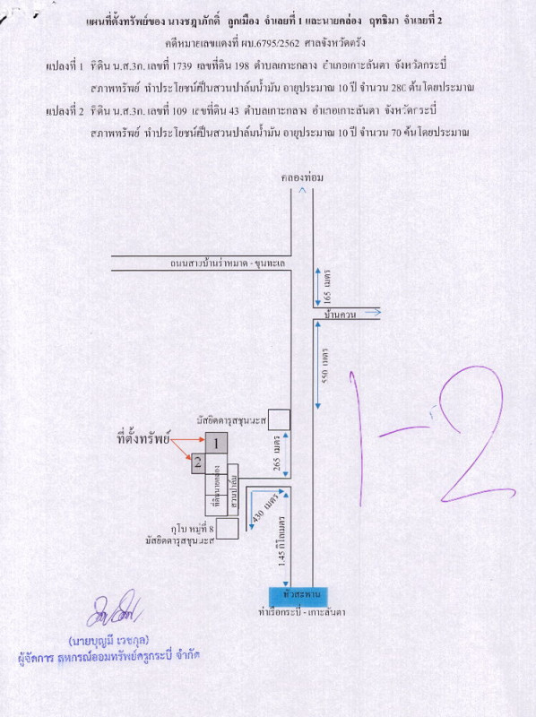 ที่ดินเปล่า กระบี่ เกาะลันตา เกาะกลาง 3953880