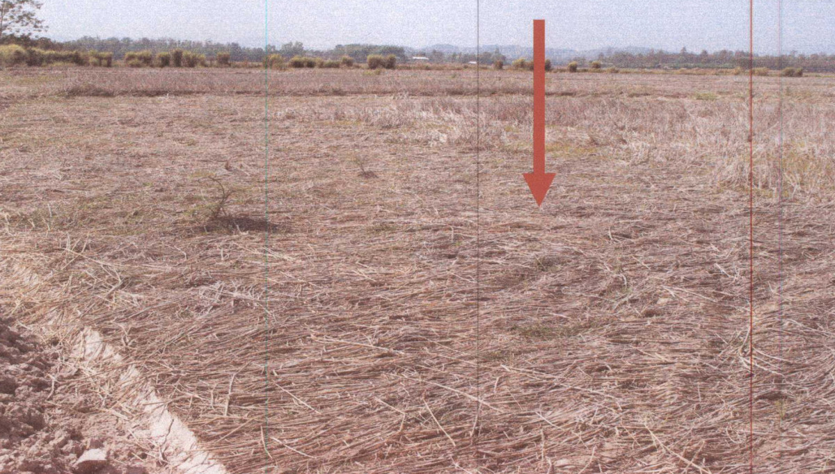 Residential land/lot Chiang Rai Phaya Mengrai Mengrai 372600
