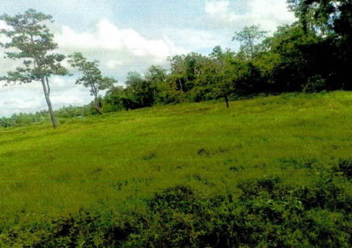 ที่ดินเปล่า นครพนม เมืองนครพนม กุรุคุ 44720