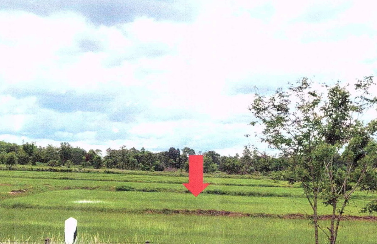 ที่ดินเปล่า สกลนคร พรรณานิคม วังยาง 236256