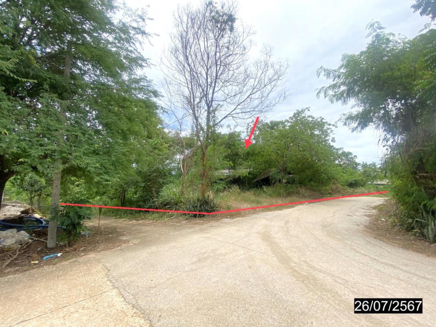 ที่ดินเปล่า ที่ดิน เลย เลย เมืองเลย นาดินดำ 6802000
