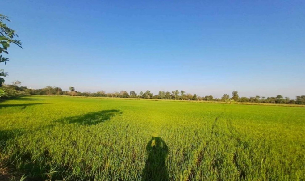 ที่ดินเปล่า ที่ดิน นครสวรรค์ นครสวรรค์ ลาดยาว เนินขี้เหล็ก 2800000