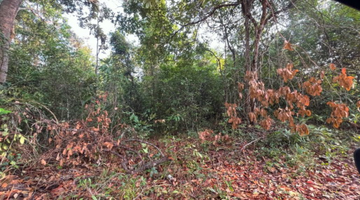 ที่ดินเปล่า อุบลราชธานี เมืองอุบลราชธานี ปะอาว 85200