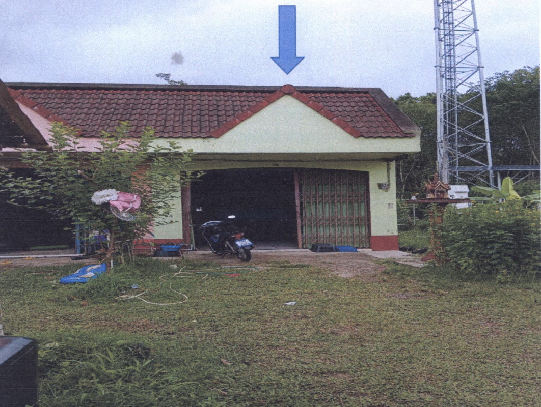 บ้านเดี่ยว พัทลุง ป่าบอน วังใหม่ 574050