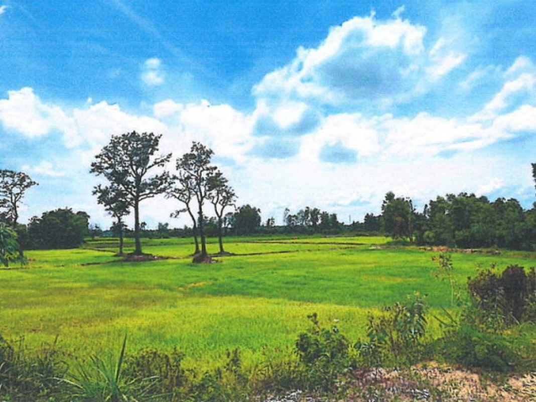 ที่ดินเปล่า อุบลราชธานี วารินชำราบ โนนโหนน 795145