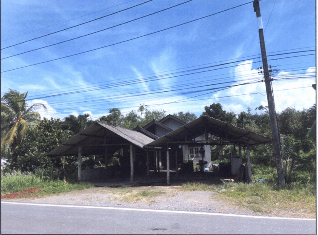 บ้านเดี่ยว พัทลุง ป่าบอน โคกทราย 671322