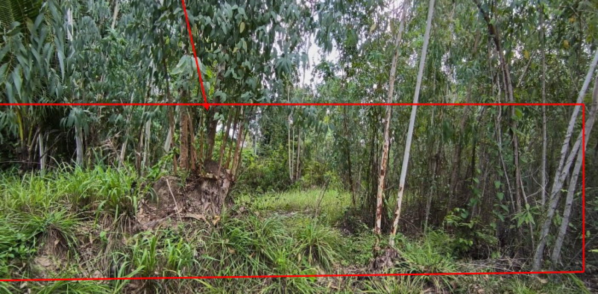 ที่ดินเปล่า อุบลราชธานี เขื่องใน หัวดอน 11154