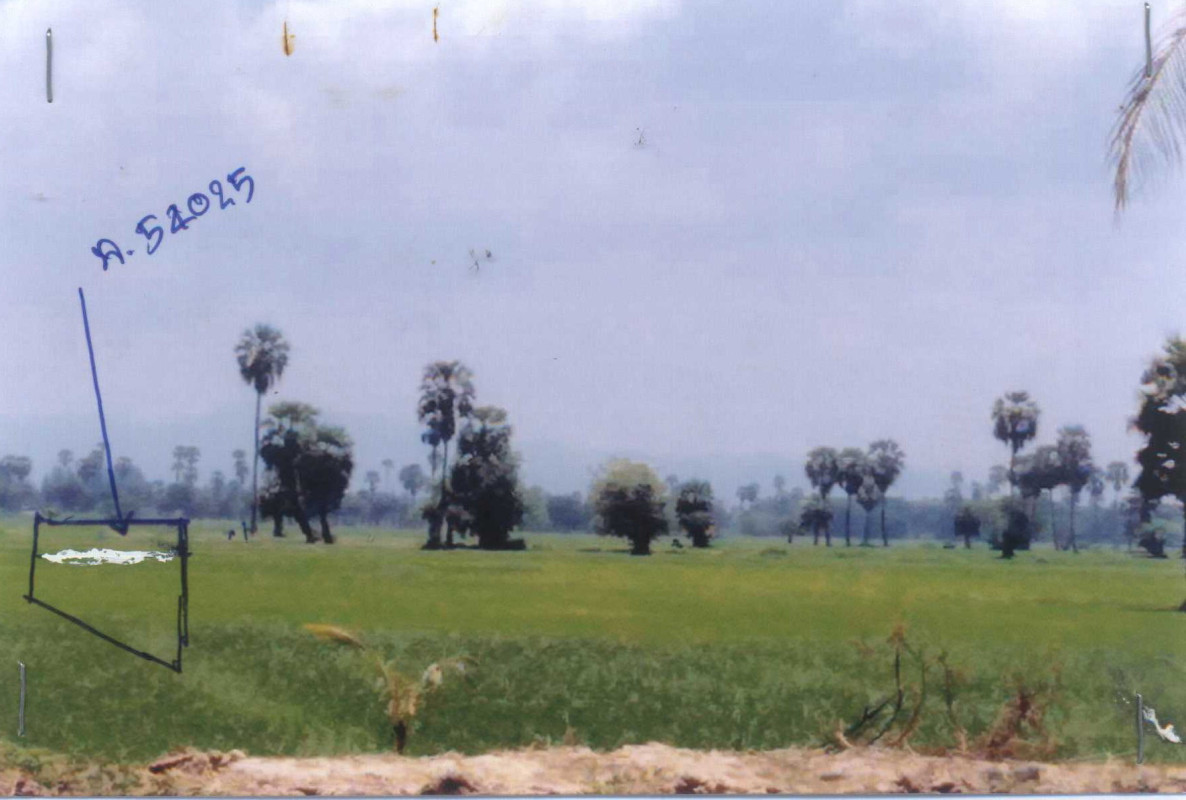 ที่ดินเปล่า เพชรบุรี เมืองเพชรบุรี หนองขนาน 67200